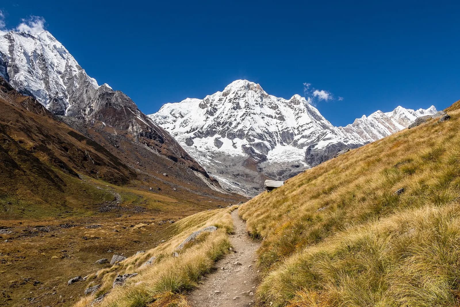 Trail through the Annapurna Sanctuary towards Annapurna South
