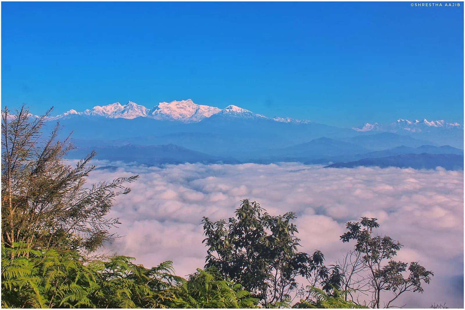Himalayan peaks above a sea of clouds from Bandipur
