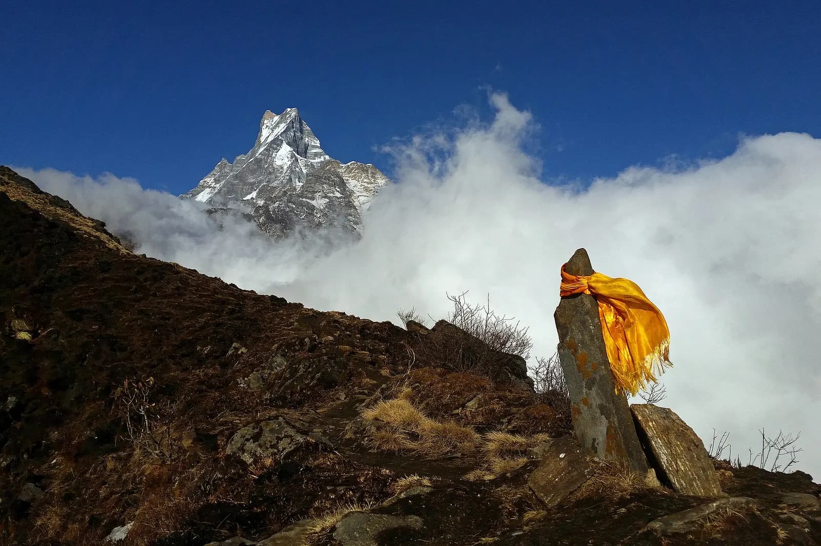 Machhapuchhre rising above the clouds from the Mardi Himal trail