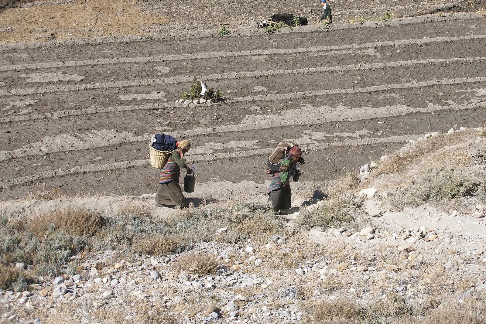 Kagbeni and its fields beside the Kali Gandaki