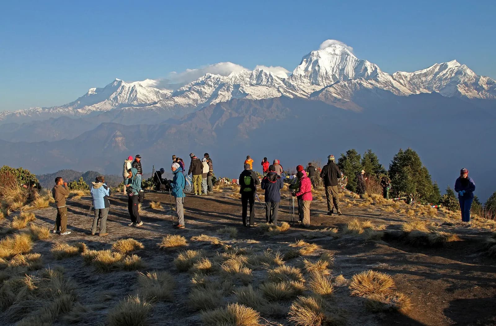 Trekkers on Poon Hill at sunrise in front of Dhaulagiri