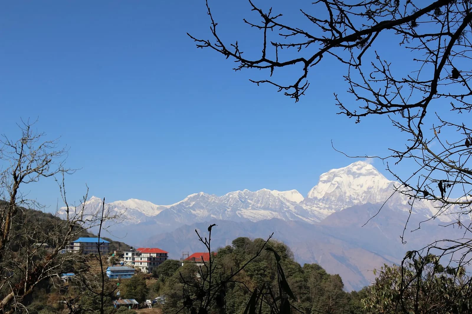 Dhaulagiri under a clear sky above Ghorepani