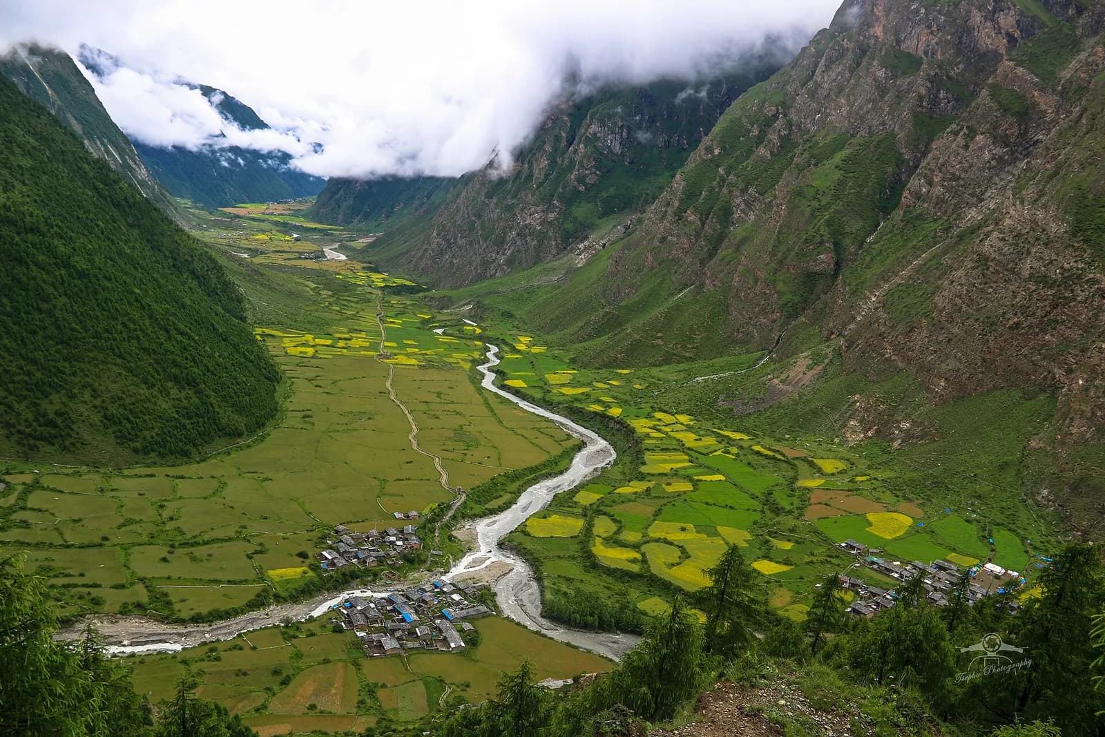 Green fields and low cloud in the Tsum Valley