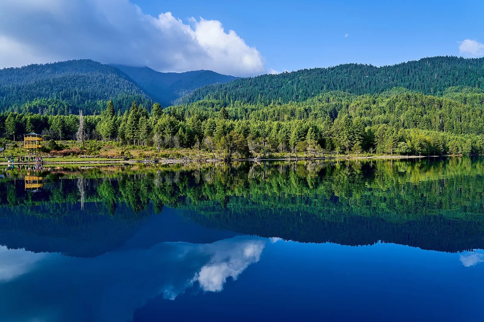 Forest reflected in the still water of Rara Lake